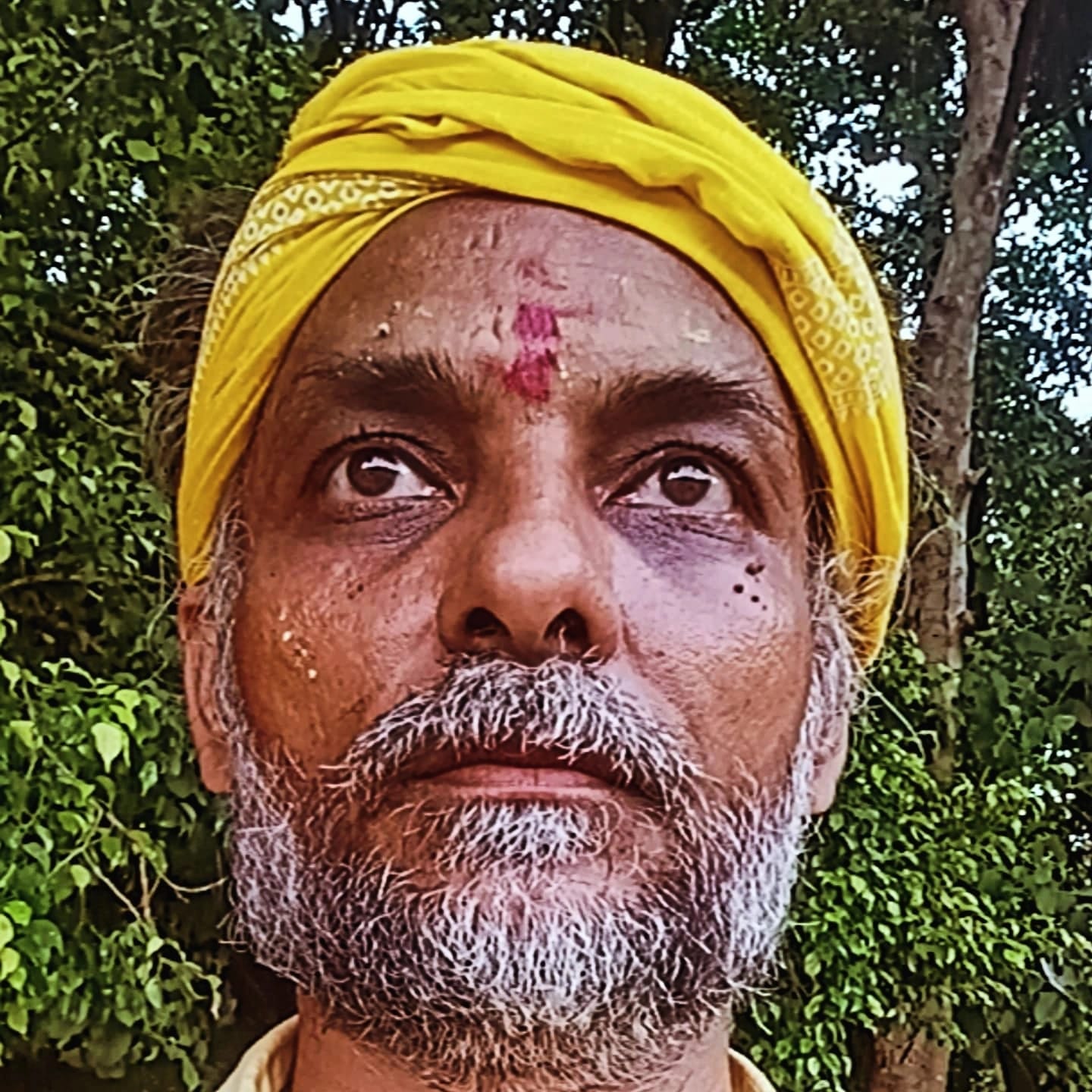 Purohit Charudutt